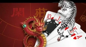 Cách soi cầu Rồng Hổ – Mẹo chơi bất bại cùng Hi8823