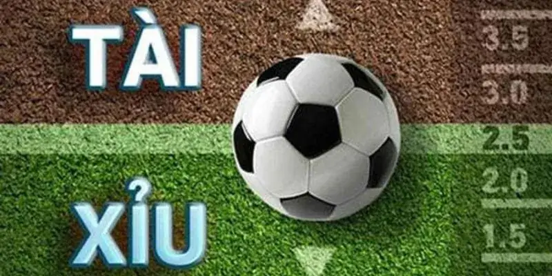 Kèo 2.25 Là Gì - Giải Mã Tỷ Lệ Tài Xỉu 2 1/4 Trong Bóng Đá 2 Cách tính tiền thắng thua kèo chấp 2.25 chi tiết
