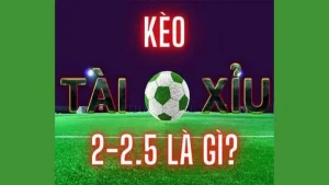 Kèo 2.25 Là Gì - Giải Mã Tỷ Lệ Tài Xỉu 2 1/4 Trong Bóng Đá