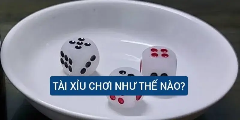 Mẹo Chơi Tài Xỉu - Các Bước & Chiến Lược Bất Bại Tại Hi8823 1 Luật Tài Xỉu và các lựa chọn cược người chơi nên biết